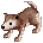 Furious Baby Desert Wolf
