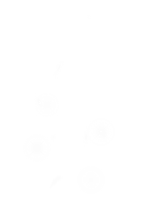 Mana of White